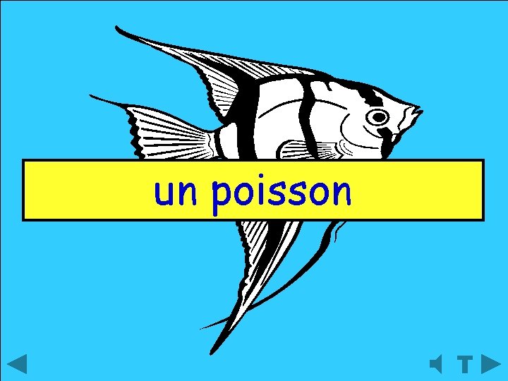 un poisson 