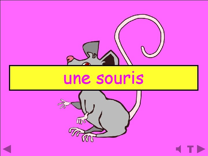 une souris 