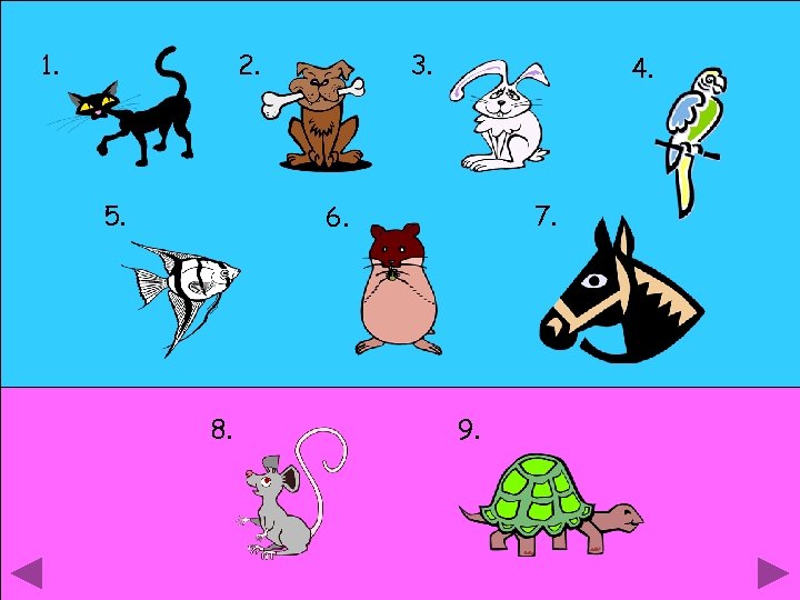 2. 1. 5. 3. 4. 7. 6. 8. 9. 