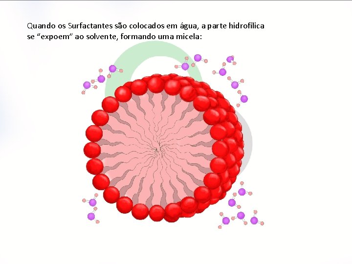 Quando os Surfactantes são colocados em água, a parte hidrofílica se “expoem” ao solvente,