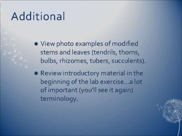 Additional View photo examples of modified stems and leaves (tendrils, thorns, bulbs, rhizomes, tubers,