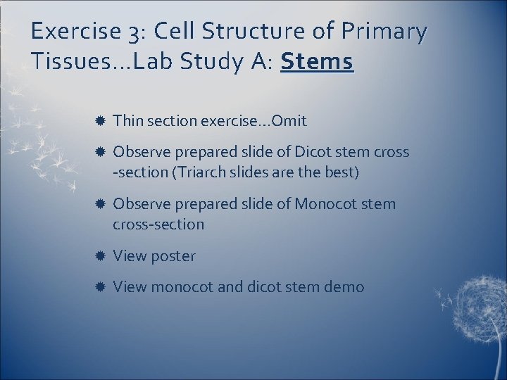 Exercise 3: Cell Structure of Primary Tissues…Lab Study A: Stems Thin section exercise…Omit Observe
