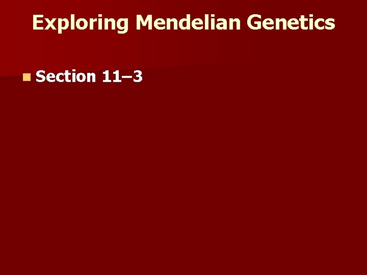 Exploring Mendelian Genetics N Section 11 3 Independent