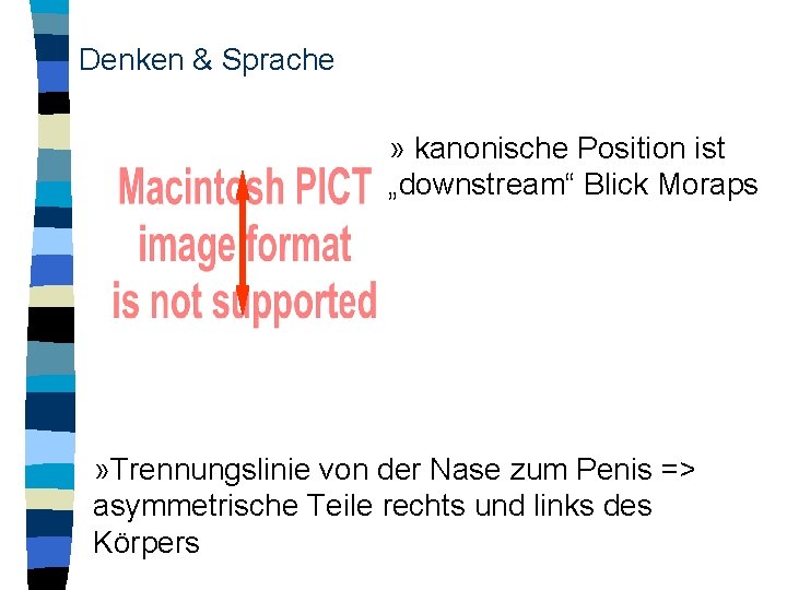 Denken & Sprache » kanonische Position ist „downstream“ Blick Moraps » Trennungslinie von der