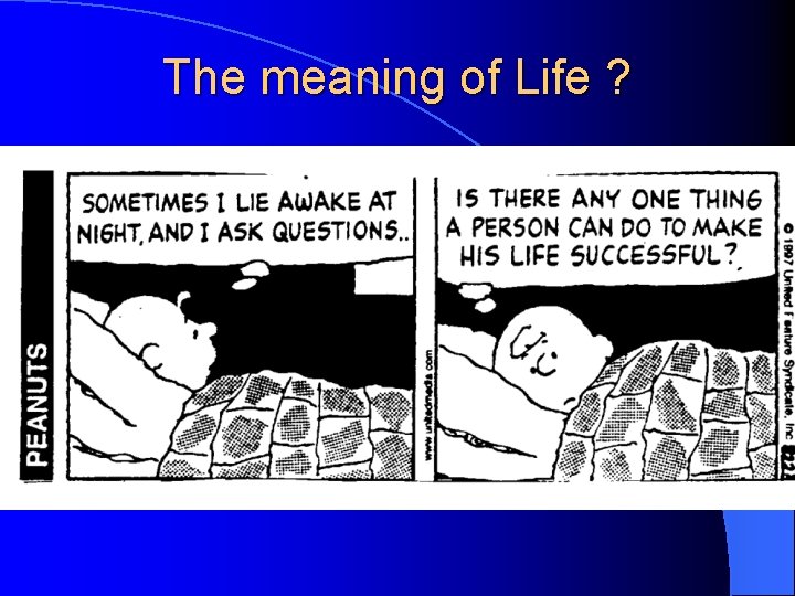 The meaning of Life ? 