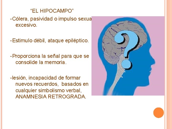 “EL HIPOCAMPO” -Cólera, pasividad o impulso sexual excesivo. -Estimulo débil, ataque epiléptico. -Proporciona la