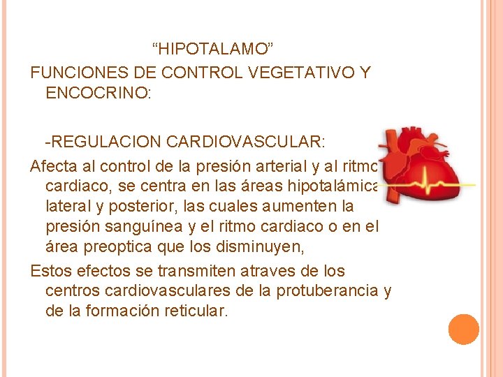 “HIPOTALAMO” FUNCIONES DE CONTROL VEGETATIVO Y ENCOCRINO: -REGULACION CARDIOVASCULAR: Afecta al control de la