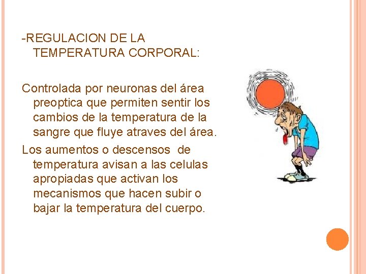 -REGULACION DE LA TEMPERATURA CORPORAL: Controlada por neuronas del área preoptica que permiten sentir