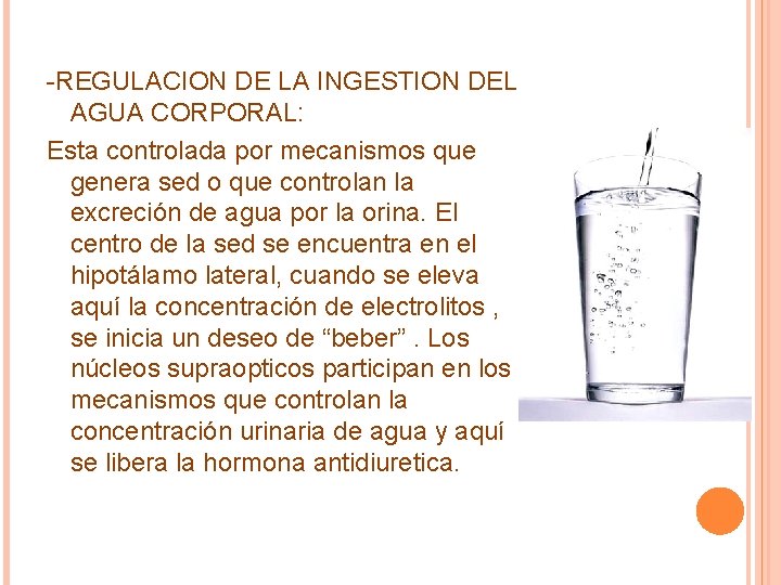 -REGULACION DE LA INGESTION DEL AGUA CORPORAL: Esta controlada por mecanismos que genera sed