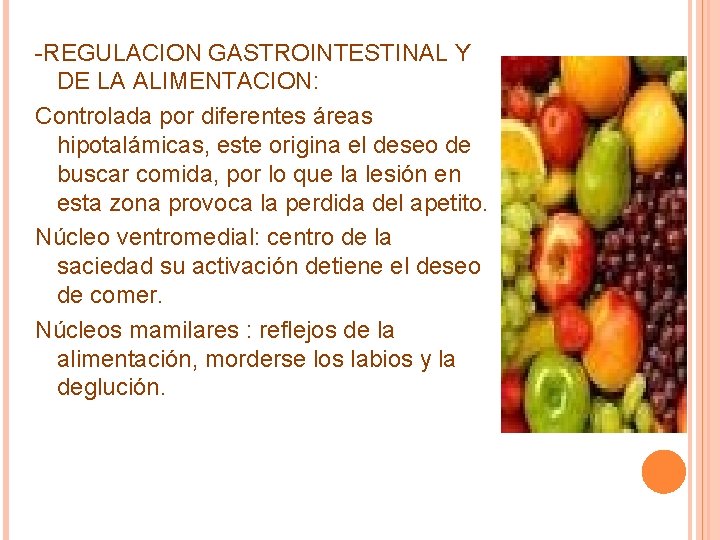 -REGULACION GASTROINTESTINAL Y DE LA ALIMENTACION: Controlada por diferentes áreas hipotalámicas, este origina el