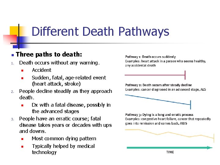 Different Death Pathways n 1. 2. 3. Three paths to death: Death occurs without