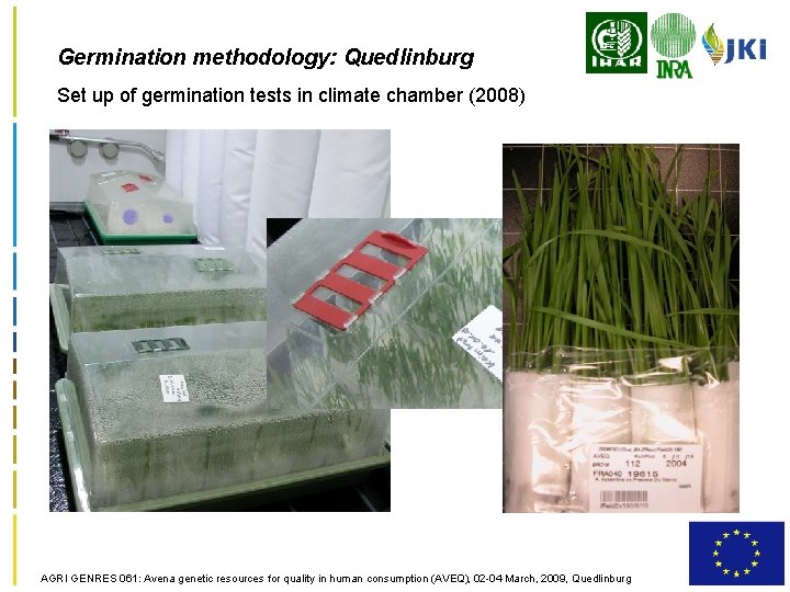 Germination methodology: Quedlinburg Set up of germination tests in climate chamber (2008) AGRI GENRES