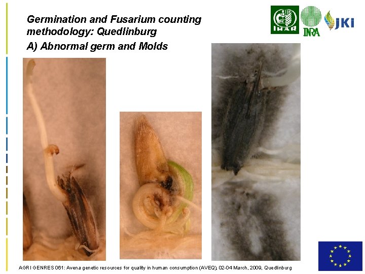 Germination and Fusarium counting methodology: Quedlinburg A) Abnormal germ and Molds AGRI GENRES 061: