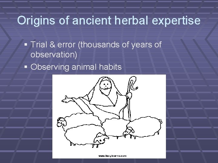 Origins of ancient herbal expertise Trial & error (thousands of years of observation) Observing