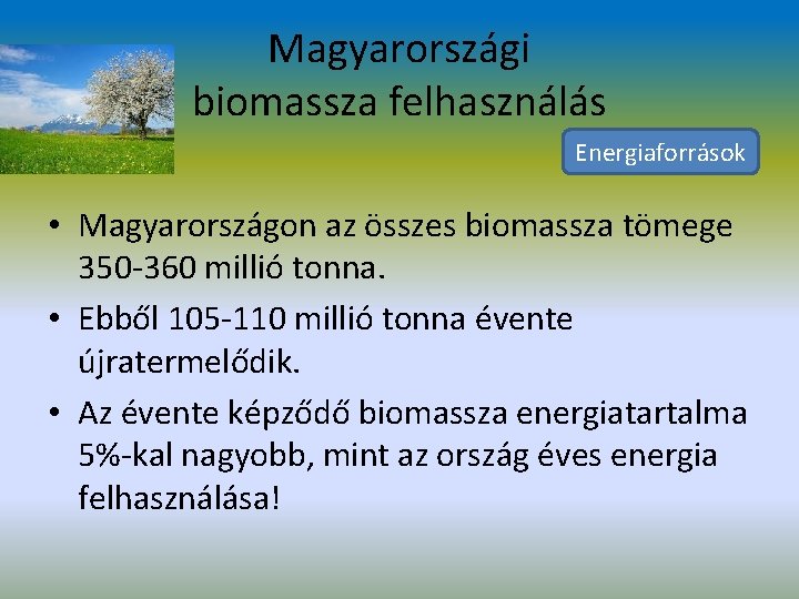 Magyarországi biomassza felhasználás Energiaforrások • Magyarországon az összes biomassza tömege 350 -360 millió tonna.