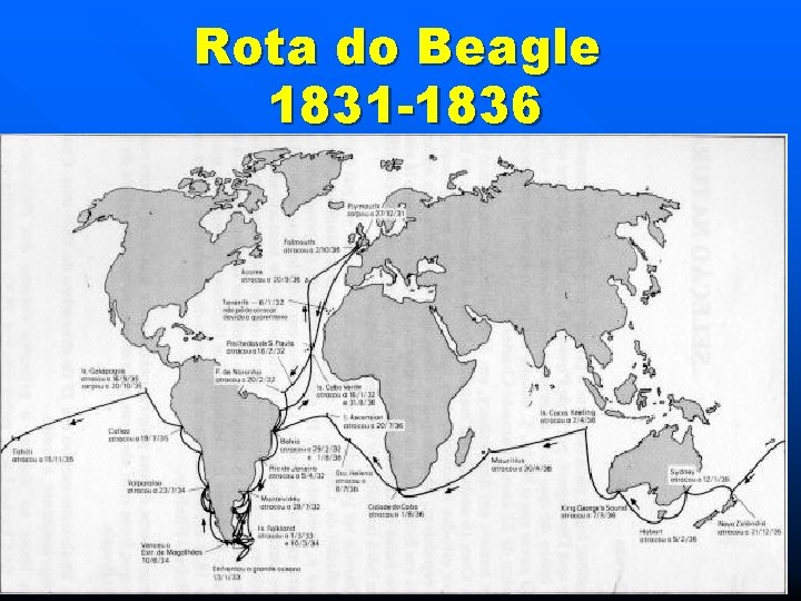 Rota do Beagle 1831 -1836 