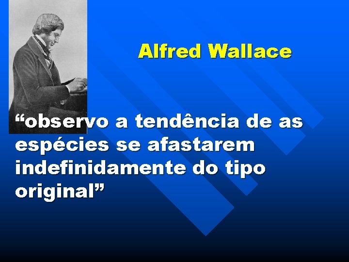 Alfred Wallace “observo a tendência de as espécies se afastarem indefinidamente do tipo original”