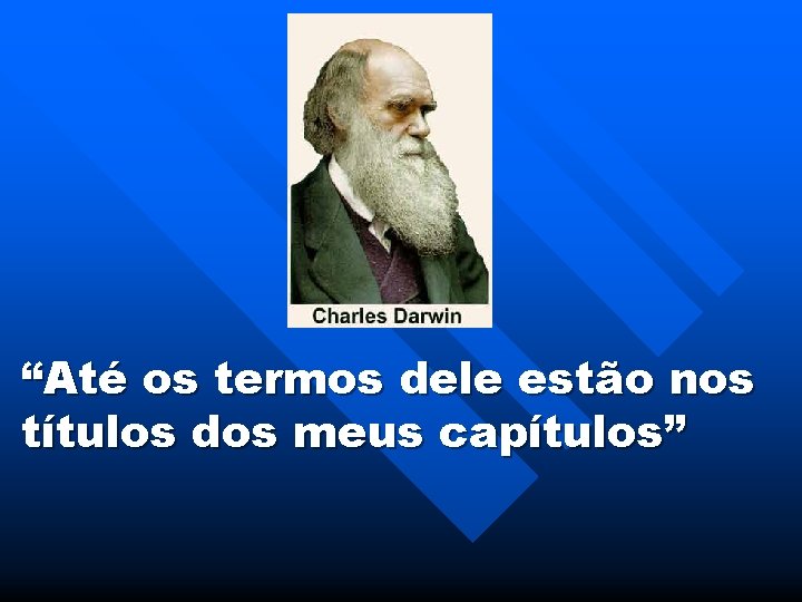 “Até os termos dele estão nos títulos dos meus capítulos” 