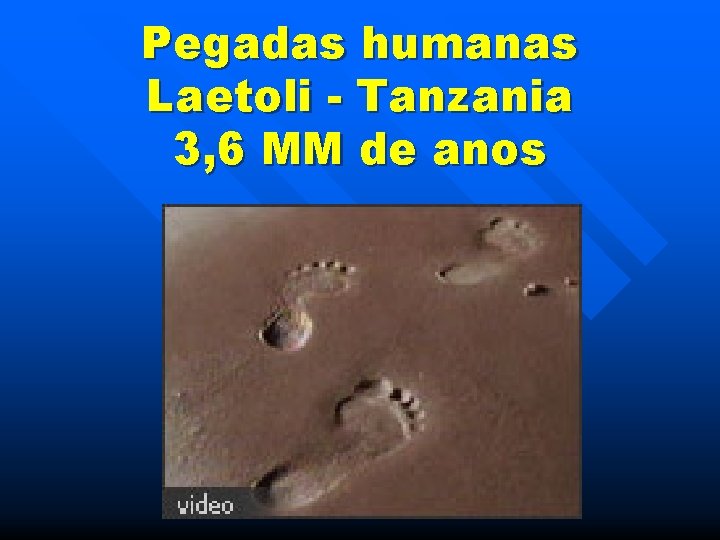 Pegadas humanas Laetoli - Tanzania 3, 6 MM de anos 