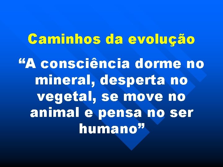 Caminhos da evolução “A consciência dorme no mineral, desperta no vegetal, se move no