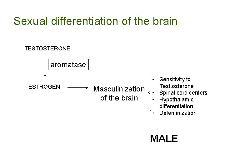 Sexual differentiation of the brain TESTOSTERONE aromatase ESTROGEN Masculinization of the brain • Sensitivity