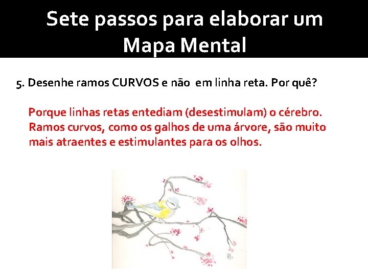 Sete passos para elaborar um Mapa Mental 5. Desenhe ramos CURVOS e não em