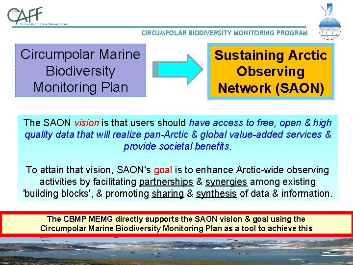 CIRCUMPOLAR BIODIVERSITY MONITORING PROGRAM Circumpolar Marine Biodiversity Monitoring Plan Sustaining Arctic Observing Network (SAON)