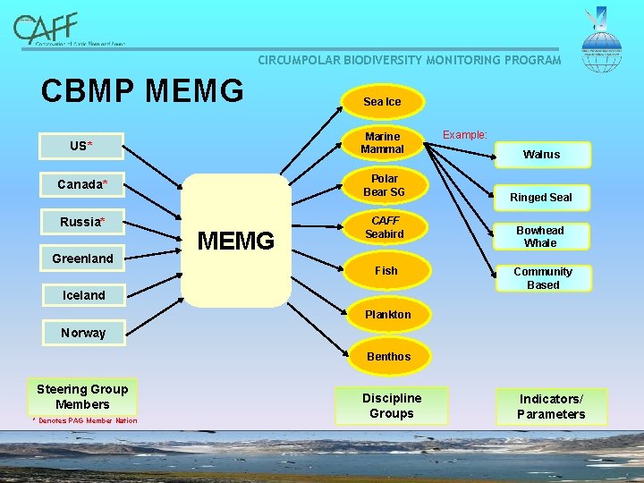 CIRCUMPOLAR BIODIVERSITY MONITORING PROGRAM CBMP MEMG Sea Ice US* Marine Mammal Canada* Polar Bear