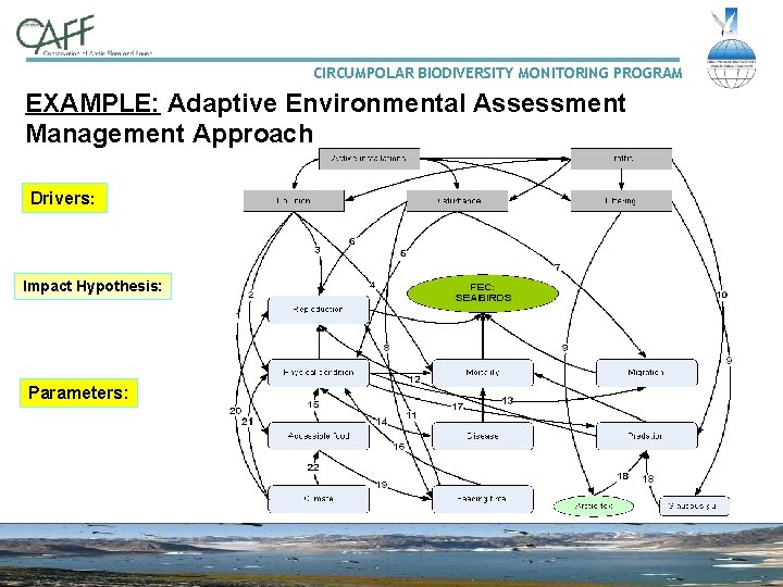 CIRCUMPOLAR BIODIVERSITY MONITORING PROGRAM EXAMPLE: Adaptive Environmental Assessment Management Approach Drivers: Impact Hypothesis: Parameters: