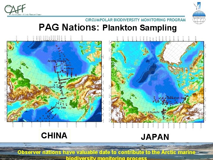 CIRCUMPOLAR BIODIVERSITY MONITORING PROGRAM PAG Nations: Plankton Sampling Arctic Ocean Chukchi Sea Beaufort Sea