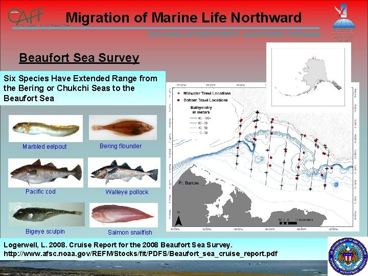 Migration of Marine Life Northward CIRCUMPOLAR BIODIVERSITY MONITORING PROGRAM Beaufort Sea Survey Six Species