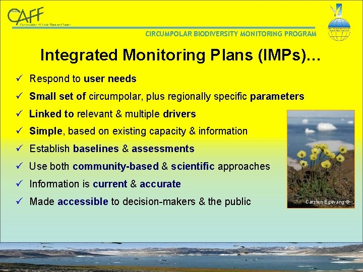 CIRCUMPOLAR BIODIVERSITY MONITORING PROGRAM Integrated Monitoring Plans (IMPs)… ü Respond to user needs ü