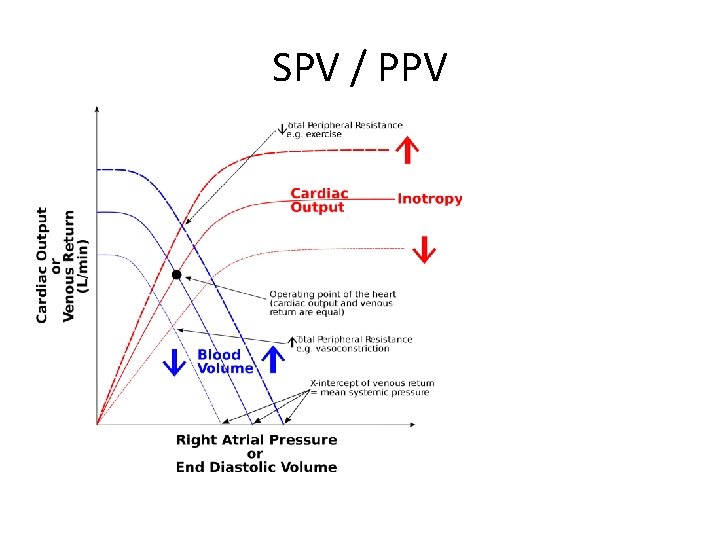 SPV / PPV 