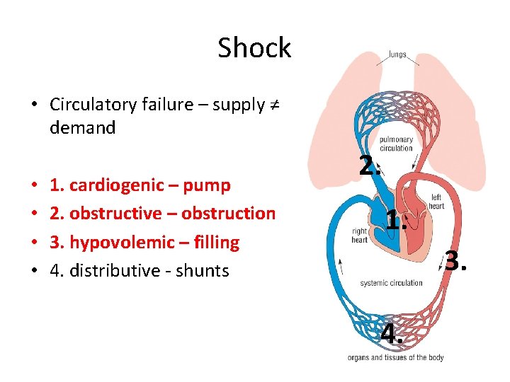 Shock • Circulatory failure – supply ≠ demand • • 1. cardiogenic – pump