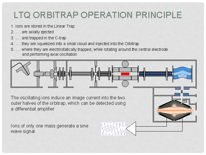 LTQ ORBITRAP OPERATION PRINCIPLE 1. Ions are stored in the Linear Trap 2. ….