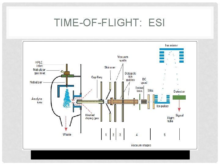 TIME-OF-FLIGHT: ESI 