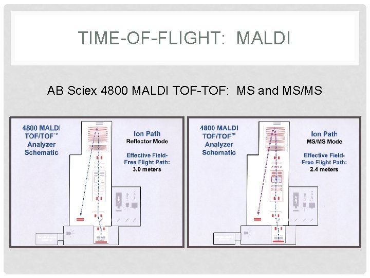 TIME-OF-FLIGHT: MALDI AB Sciex 4800 MALDI TOF-TOF: MS and MS/MS 