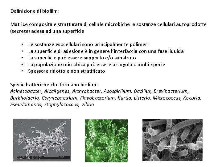 Definizione di biofilm: Matrice composita e strutturata di cellule microbiche e sostanze cellulari autoprodotte