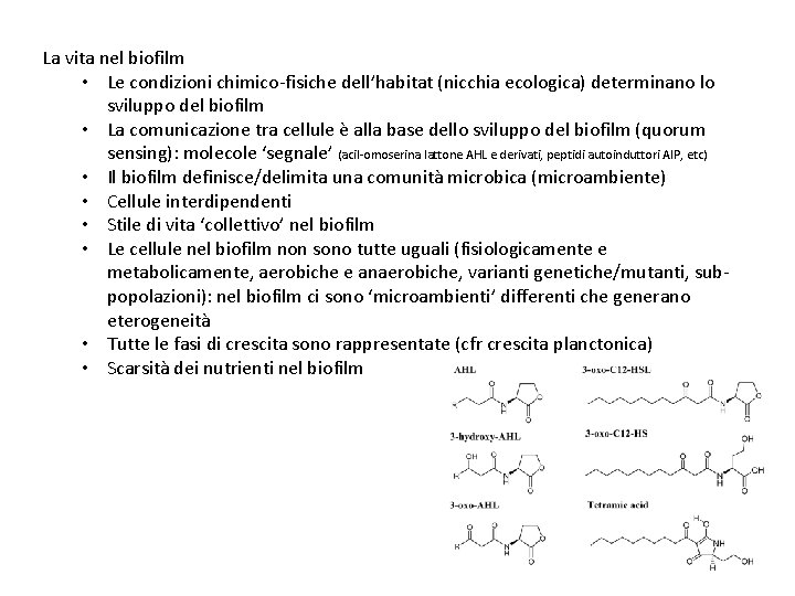 La vita nel biofilm • Le condizioni chimico-fisiche dell’habitat (nicchia ecologica) determinano lo sviluppo
