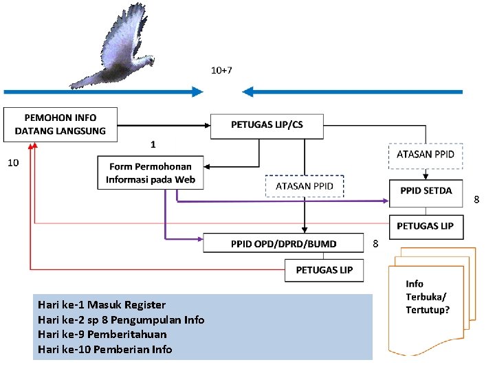 Hari ke-1 Masuk Register Hari ke-2 sp 8 Pengumpulan Info Hari ke-9 Pemberitahuan Hari