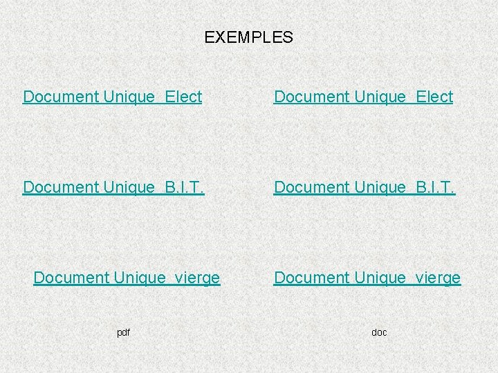 EXEMPLES Document Unique Elect Document Unique B. I. T. Document Unique vierge pdf Document