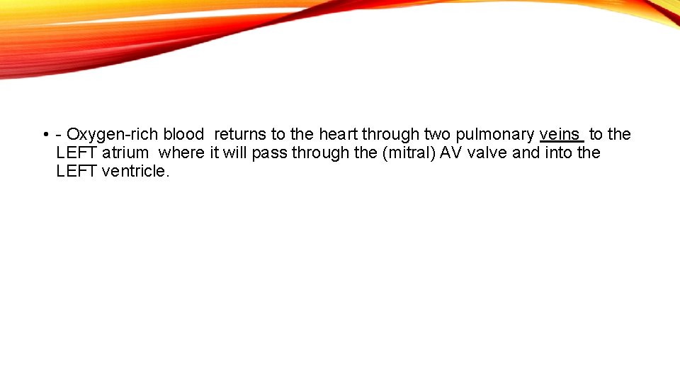 • - Oxygen-rich blood returns to the heart through two pulmonary veins to