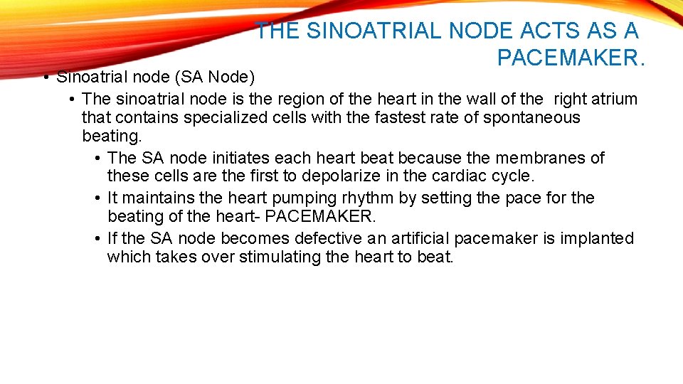 THE SINOATRIAL NODE ACTS AS A PACEMAKER. • Sinoatrial node (SA Node) • The