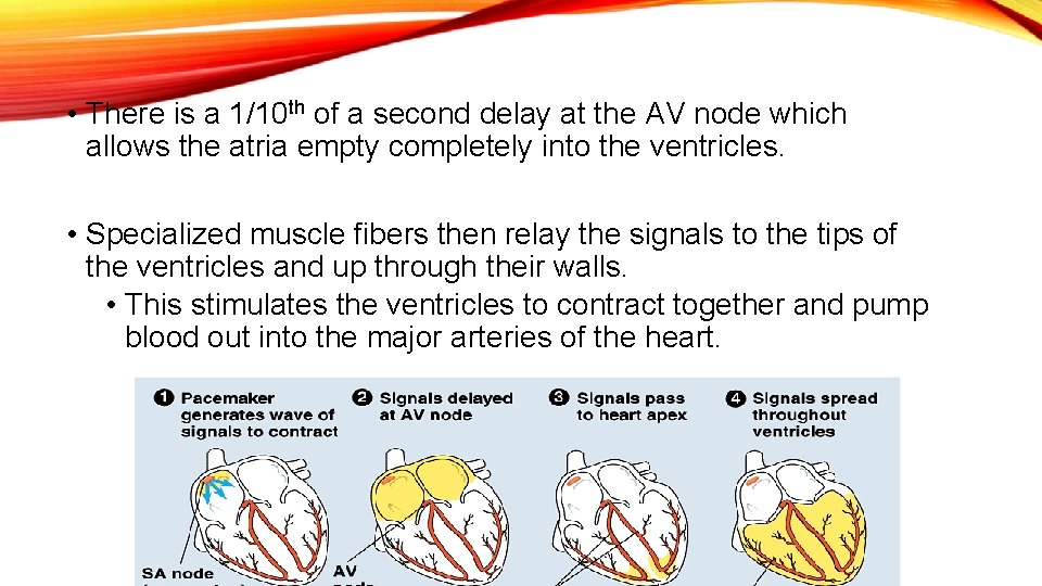  • There is a 1/10 th of a second delay at the AV