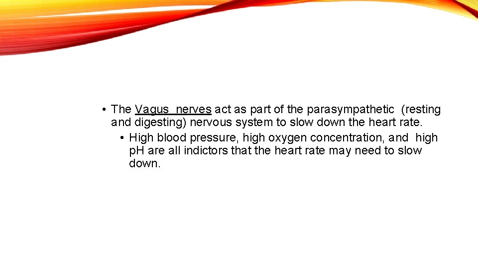  • The Vagus nerves act as part of the parasympathetic (resting and digesting)