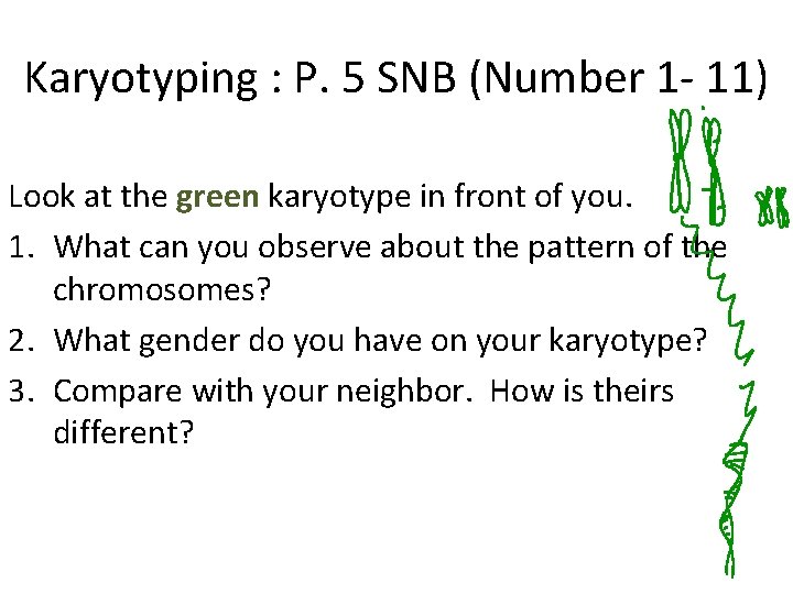 Karyotyping : P. 5 SNB (Number 1 - 11) Look at the green karyotype