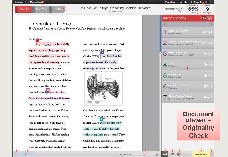 Document Viewer – Originality Check 