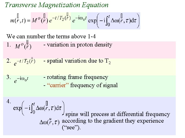 Transverse Magnetization Equation We can number the terms above 1 -4 1. - variation Transverse Magnetization Equation We can number the terms above 1 -4 1. - variation
