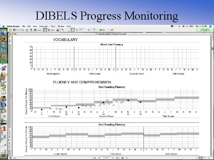 DIBELS Progress Monitoring 