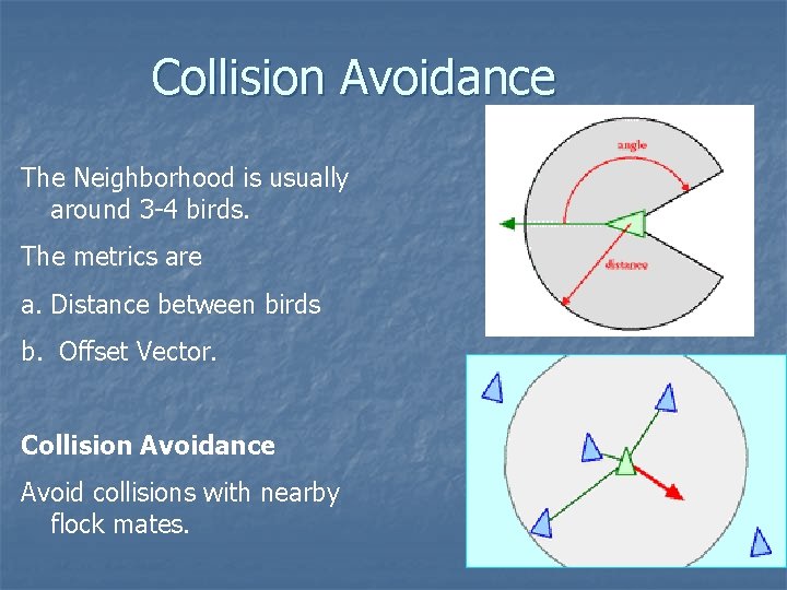 Collision Avoidance The Neighborhood is usually around 3 -4 birds. The metrics are a.
